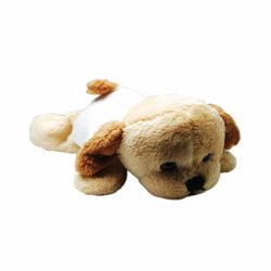 DOG FRIDGE MAGNET
