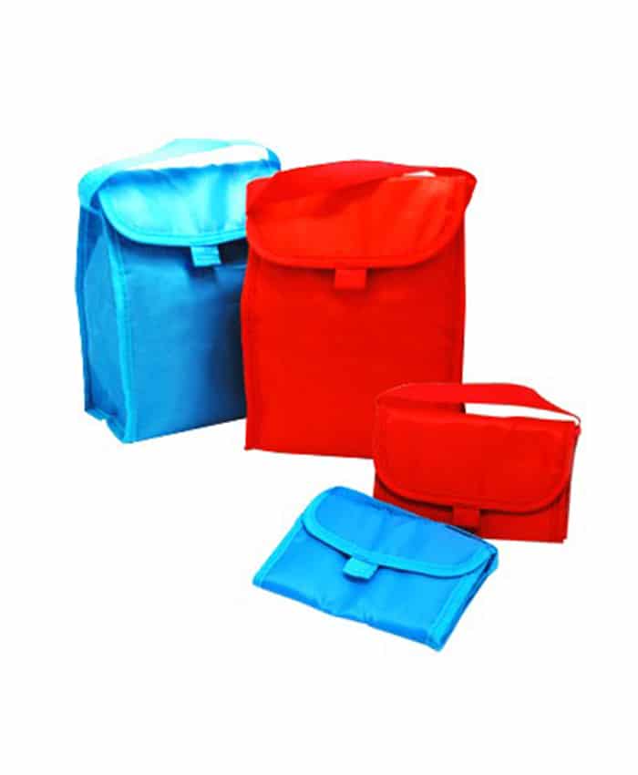 FOLDABLE COOLER BAG