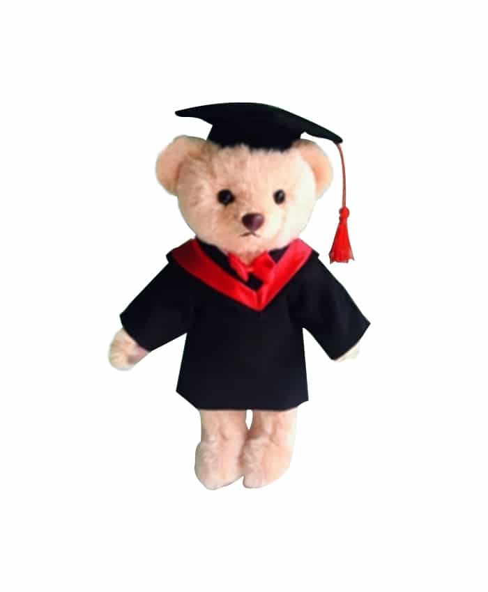 CUTE PLUSH SHORT FUR GRADUATION BEAR