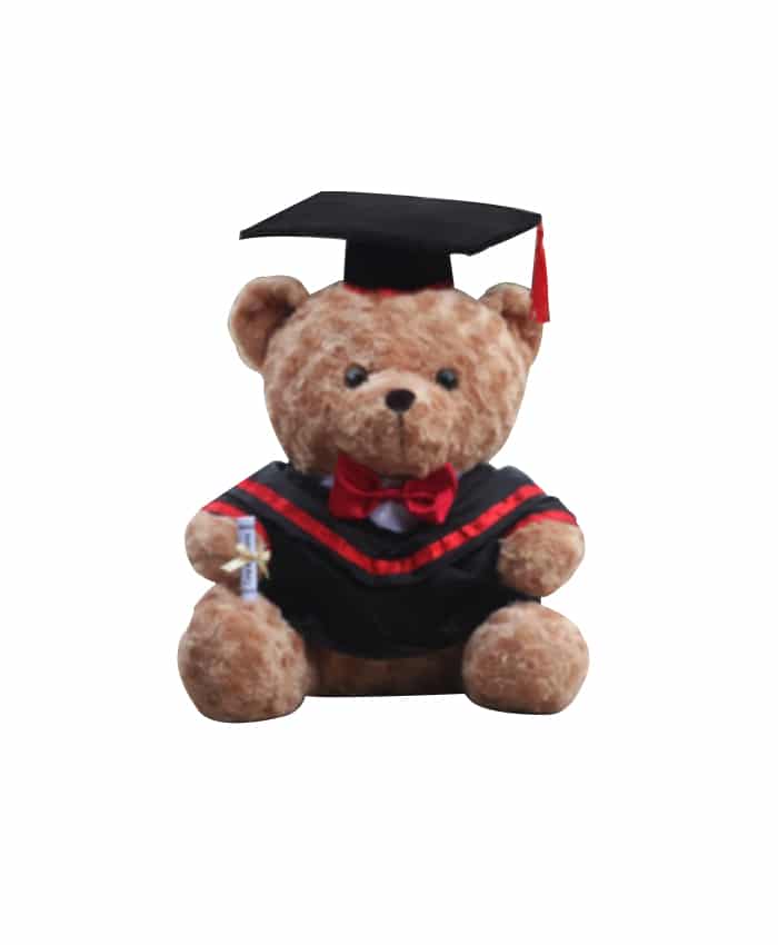 PLUSH SOFT TOY GRADUATION SITTING BEAR