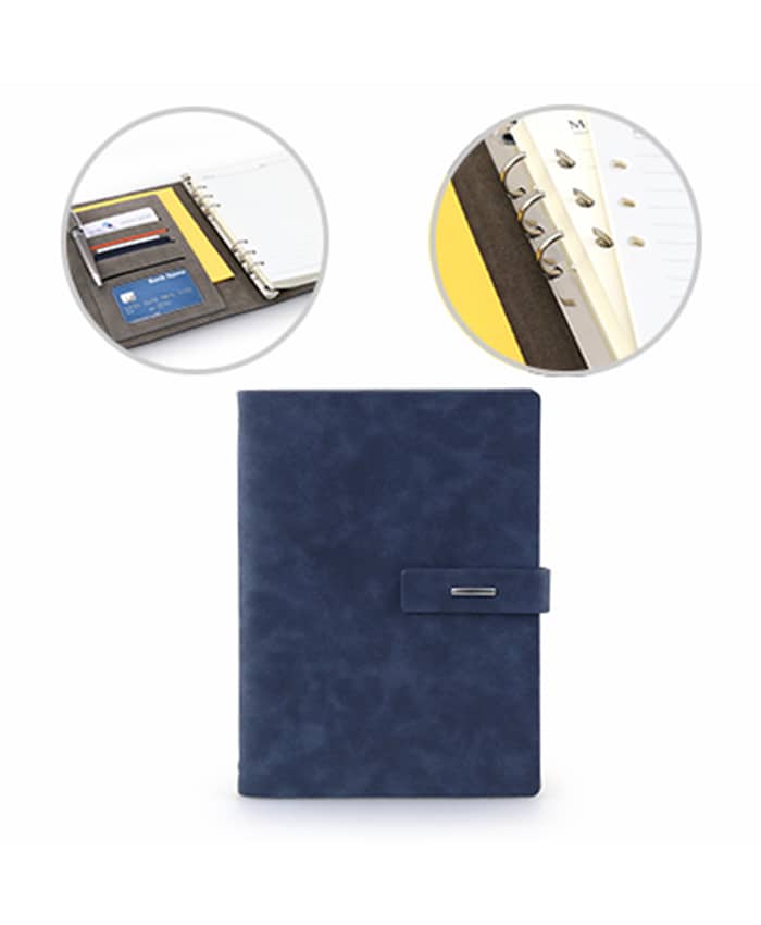 PROFESSIONAL PORTFOLIO