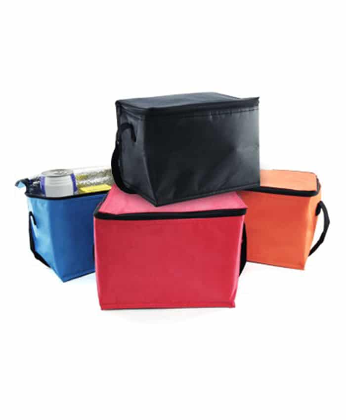 TRENDY INSULATED COOLER BAG